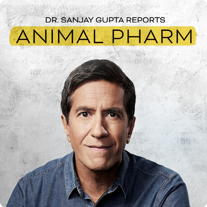 Dr. Sanjay Gupta Reports, ''Animal Pharm''