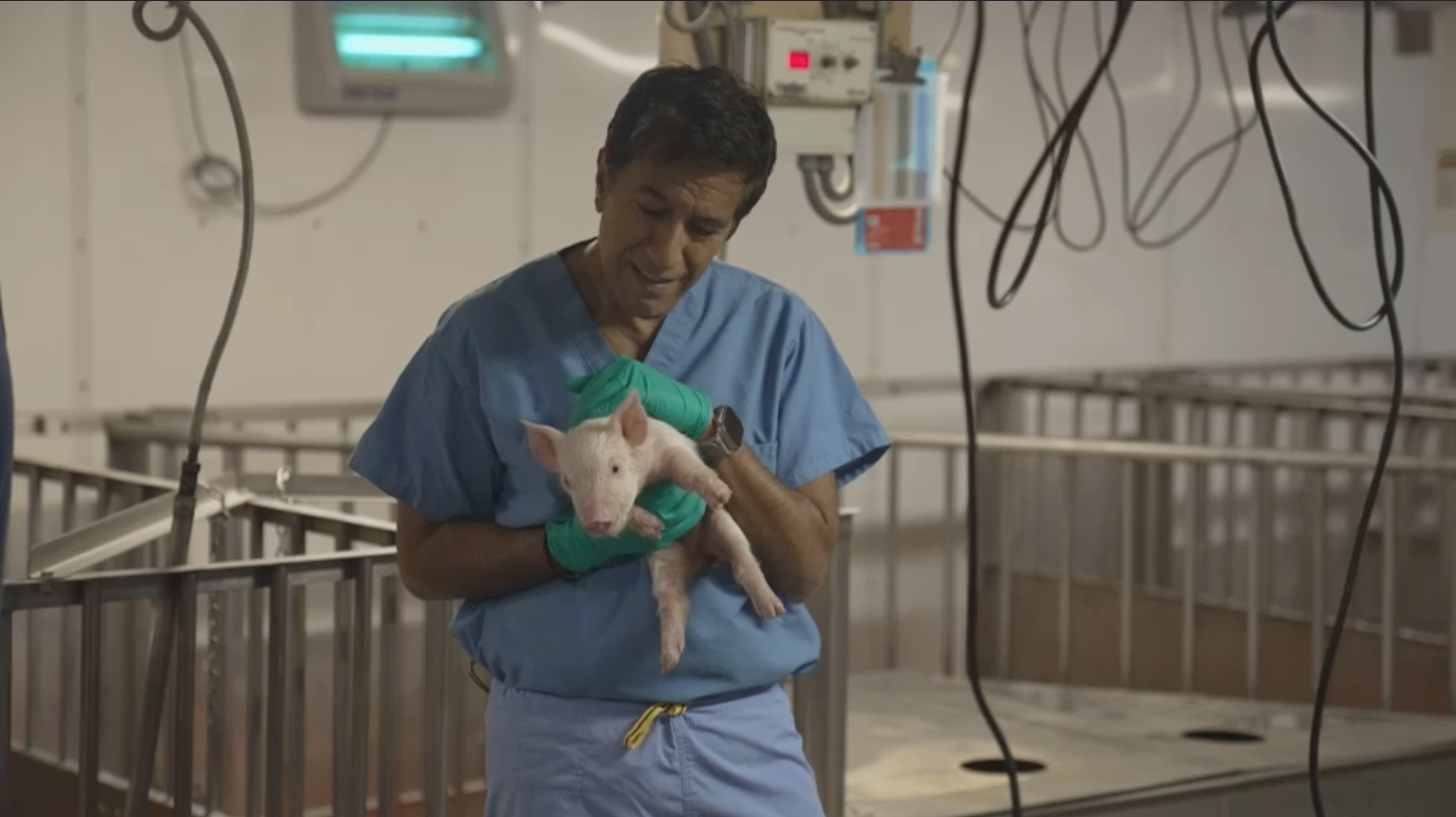 Dr. Gupta holding a Pig in his report, ''Animal Pharm''